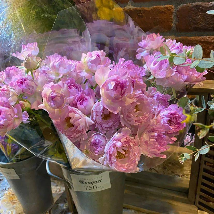 超好看的朋友圈背景图冲鸭