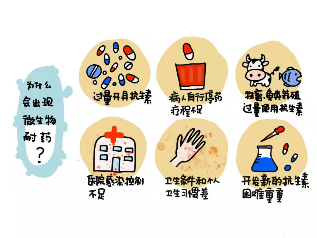 为什么会出现 微生物耐药?