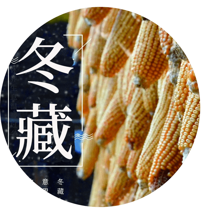 烤羊肉串喝羊汤,做冬藏窖,酱萝卜,包馄饨……身体力行感知节气之美!