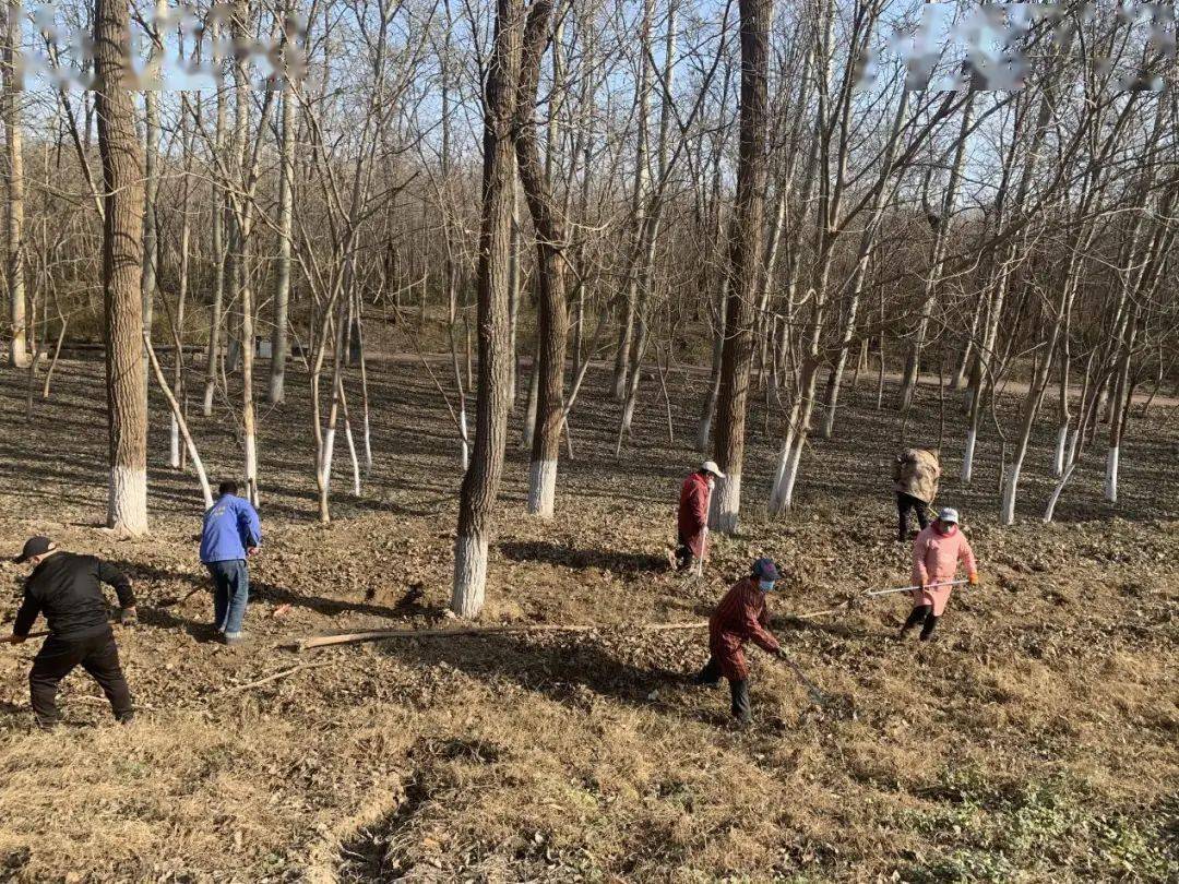 【水务动态】清理河道枯枝落叶 消除消防安全隐患