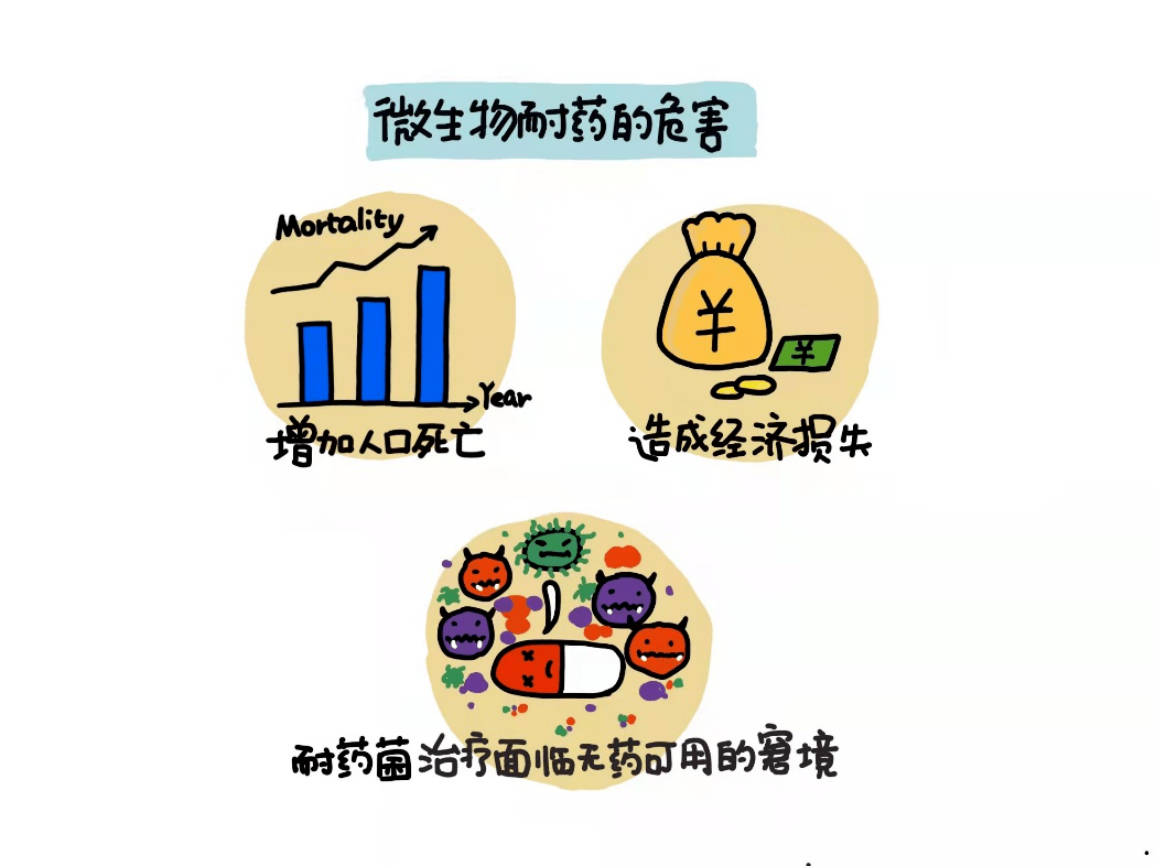 滥用抗微生物药,会对环境中和人体内正常的微生物造成严重影响,失去抗