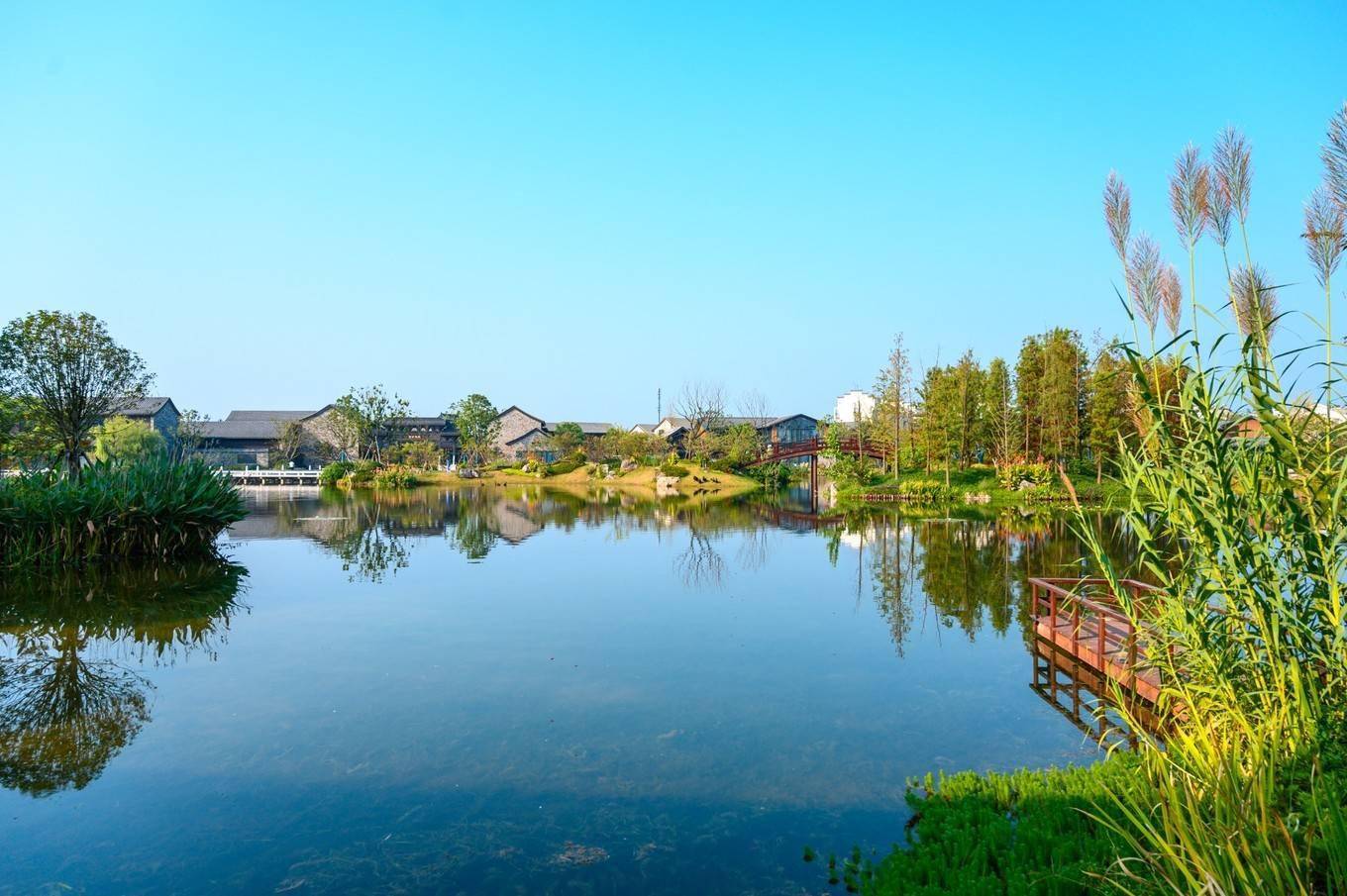 螃蟹|走进南京高淳，打卡网红打卡地固城湾景区，品尝固城湖螃蟹