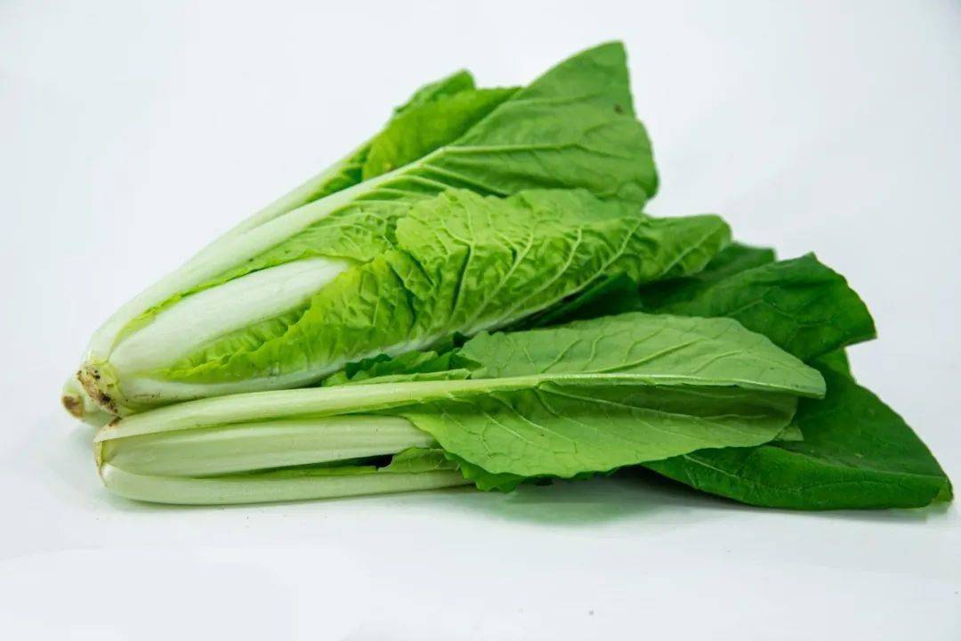 大白菜娃娃菜小白菜不同品种的白菜口感和营养价值也不同