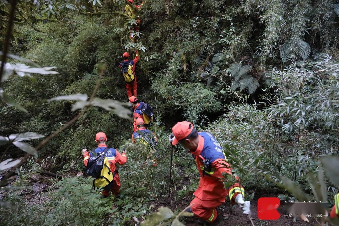 云南哀牢山死人之谜图片