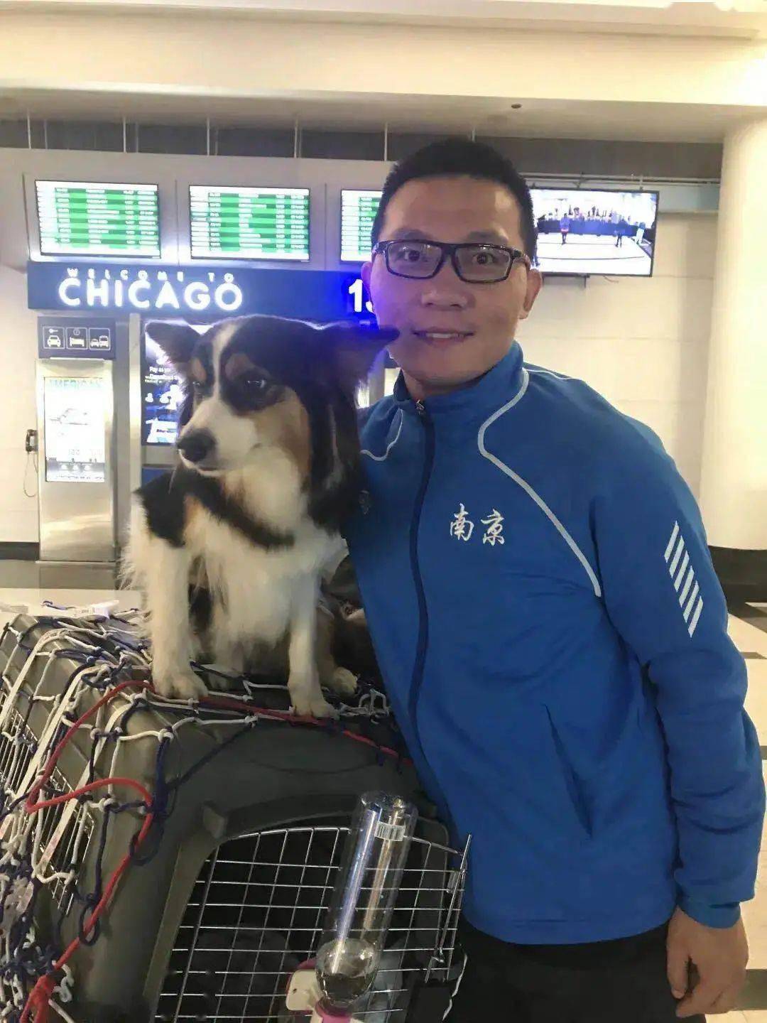 这个周六 快带着你的狗狗来参加喜玛萌宠趣味赛 南京