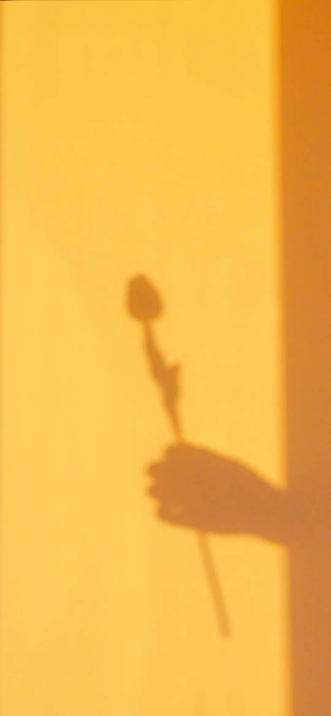 橙色图片高清壁纸 ee5b2b381982458aa20846386c785f0b.jpeg