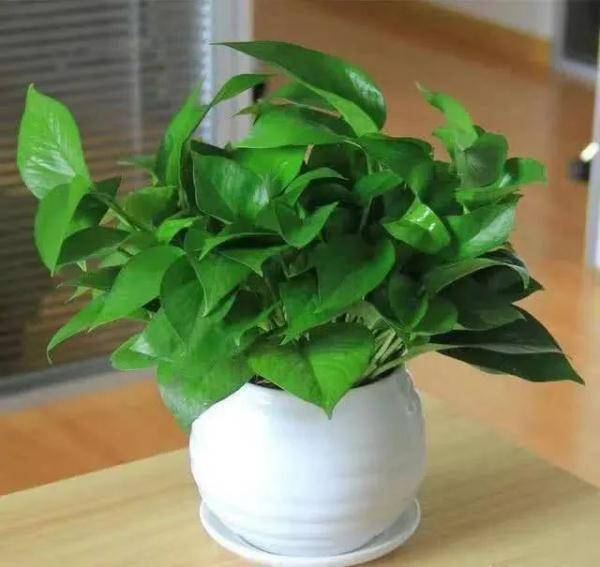 暖意|原来，冬天还可以这样保暖……