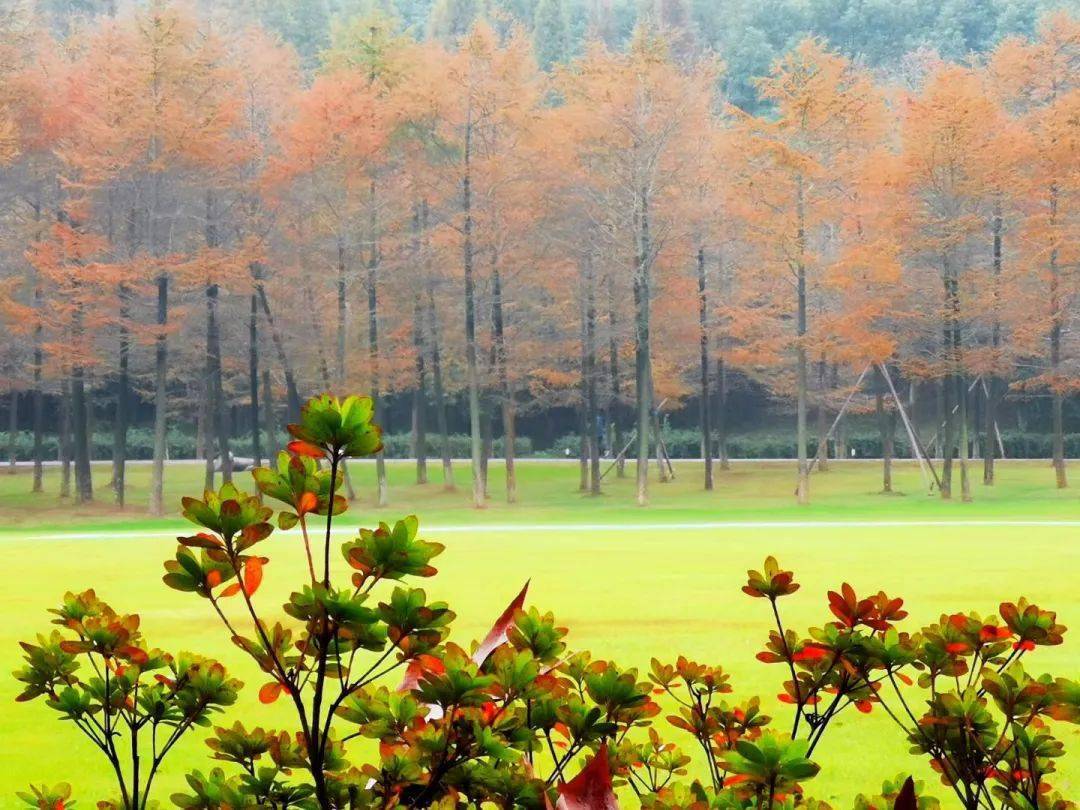 秋冬的宜兴美成了阳羡