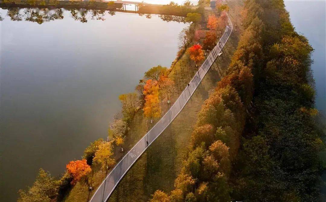 冬日暖阳下的金银湖绿道_武汉_东西湖区_图片