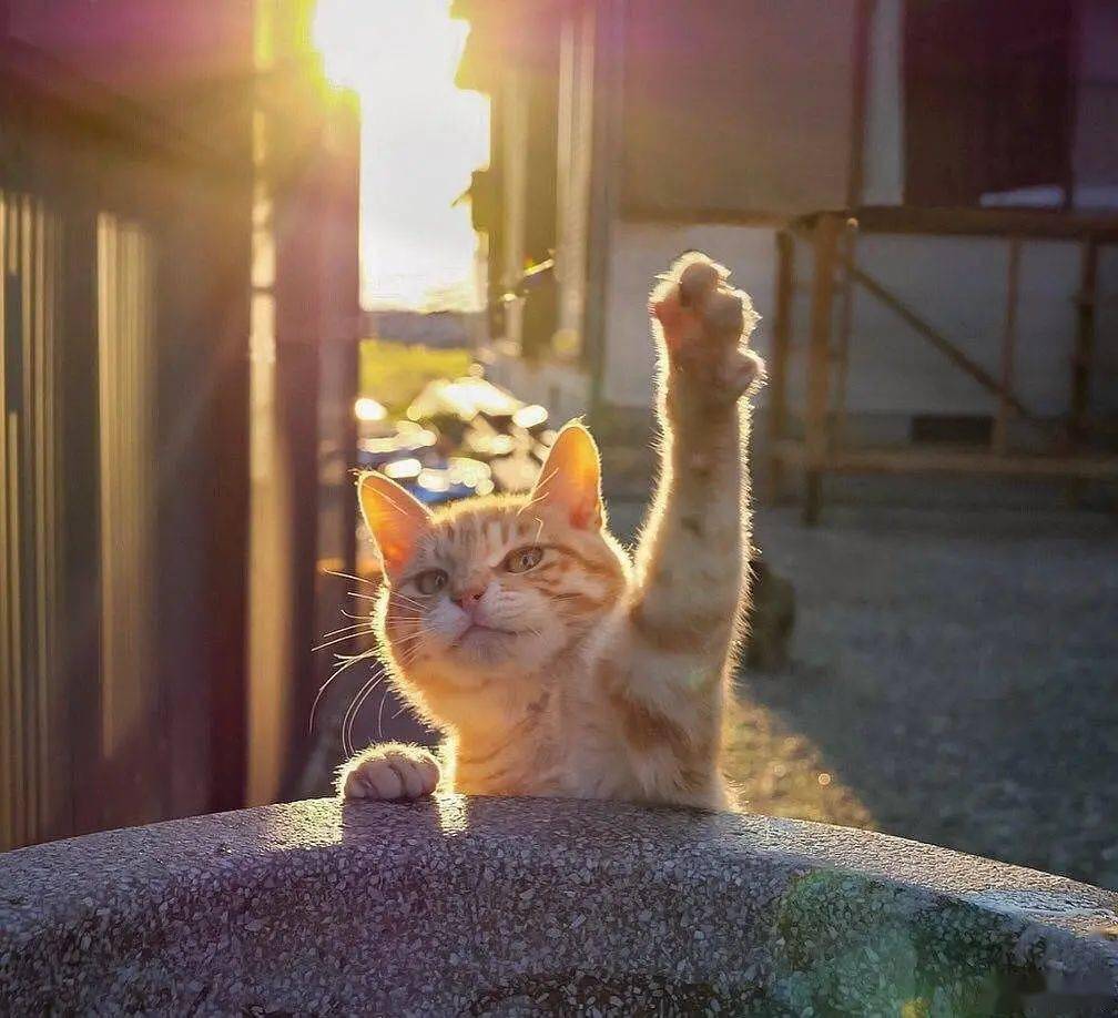 好好学习!放松心情,感受昌平冬日暖阳