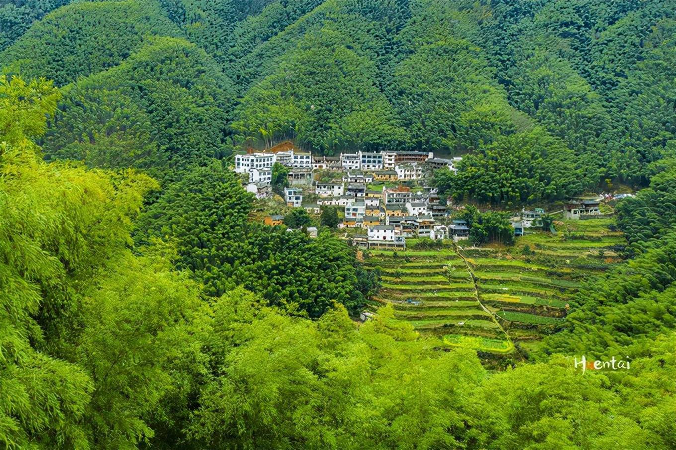 胡文|来自大自然的邀请，去安徽黟县赴一场养生局