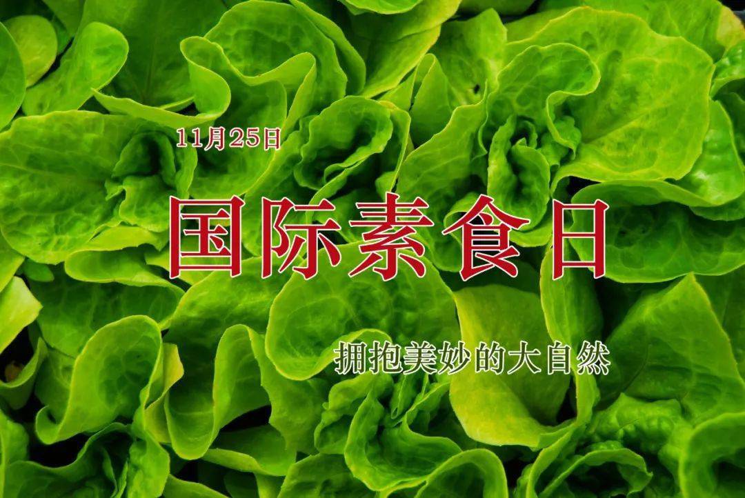 国际素食日10大黄金法则告诉你如何科学吃素