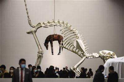 观众|一根香蕉卖12万美元 卡特兰是“骗子”还是艺术家