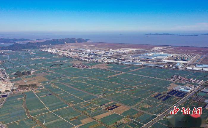 浙江临海西兰花基地图片