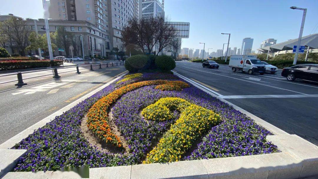 耐寒花卉应用案例郑州商务内环路花坛