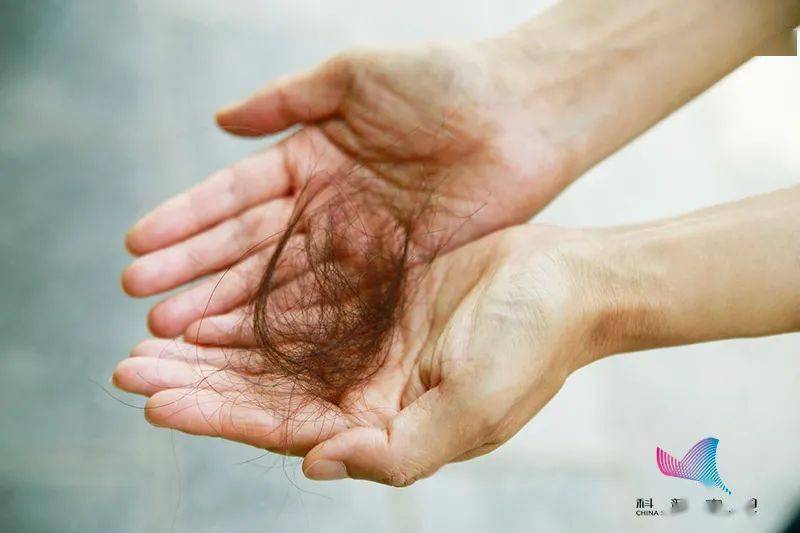 作用|洗头冲水时冲下好些头发，这是要秃了吗？