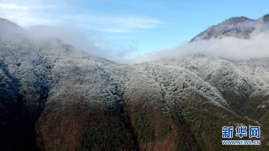 十堰|湖北十堰：雪后十八里长峡 半山皑皑半山红