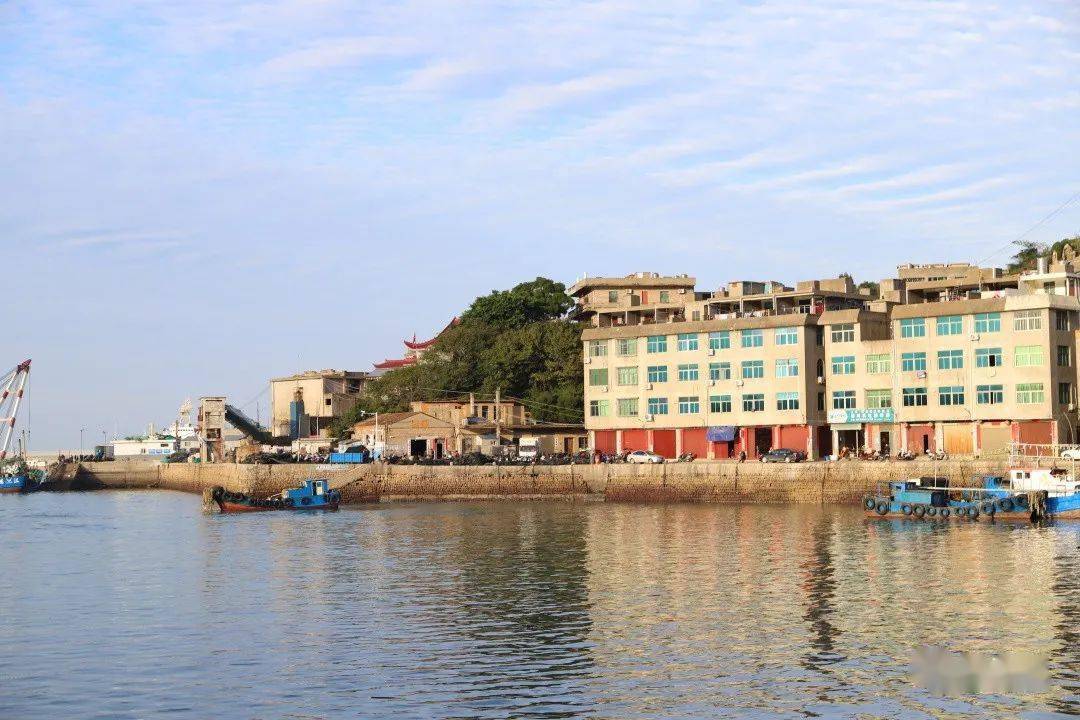 苔菉镇_垃圾_整治