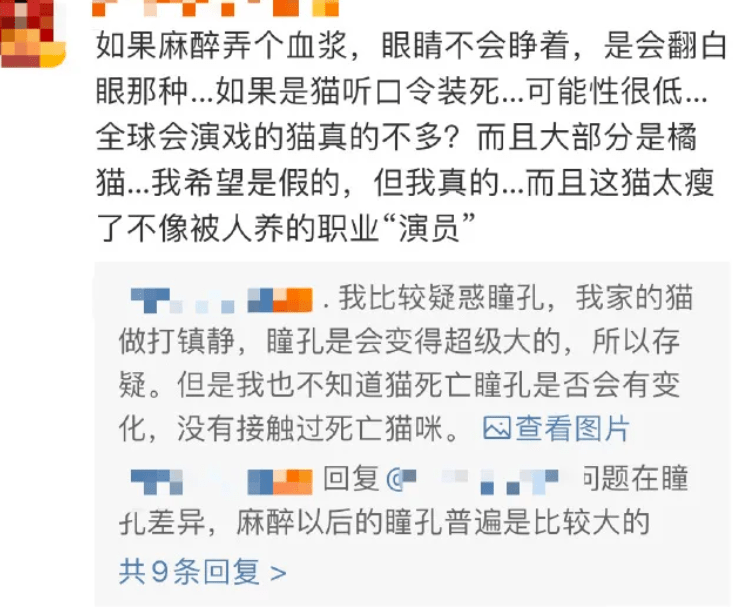 鹦鹉|圈内到底还有没有底线？