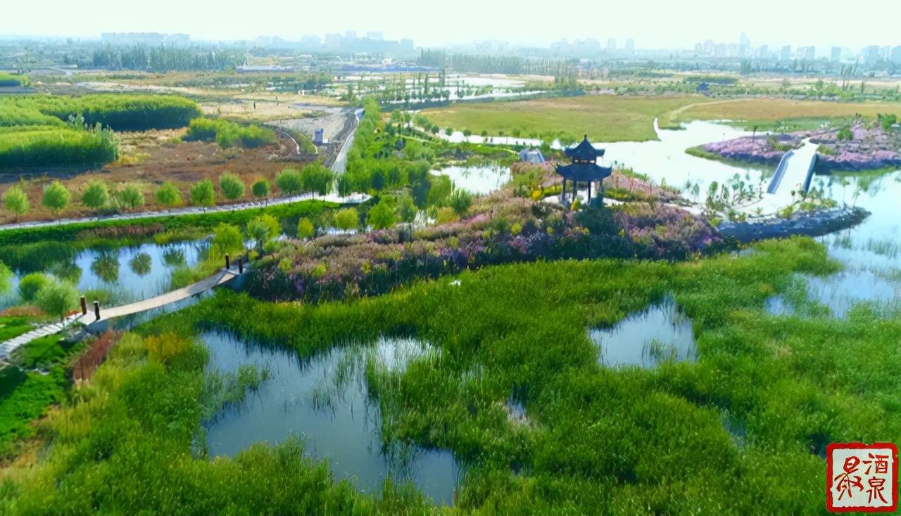 百姓看酒泉 寄语党代会(五)_发展_肃州区_推广