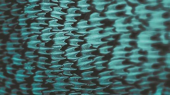 为飞机穿上“鲨鱼皮”