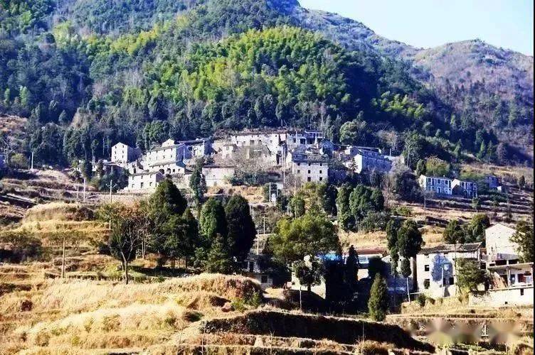 【周末攻略】这个周末来南屏乡走一走吧