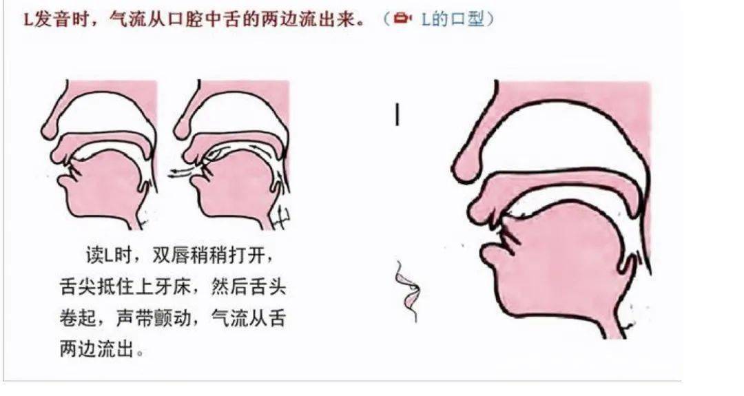 j发音图解舌位图图片