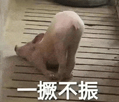 上网课表情包动图 f2c741579d35480ab3ad029fe6a45b1e.gif