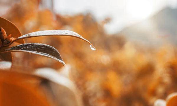 小雨|叮咚！雨水即将到货，冷空气也在路上了！