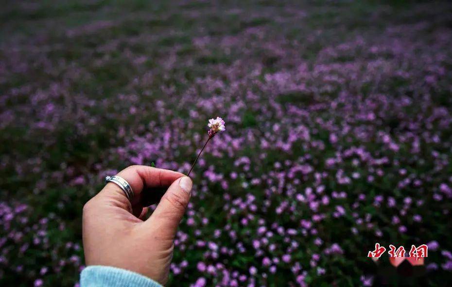 问题|成年人的情商，都在细节里丨夜读