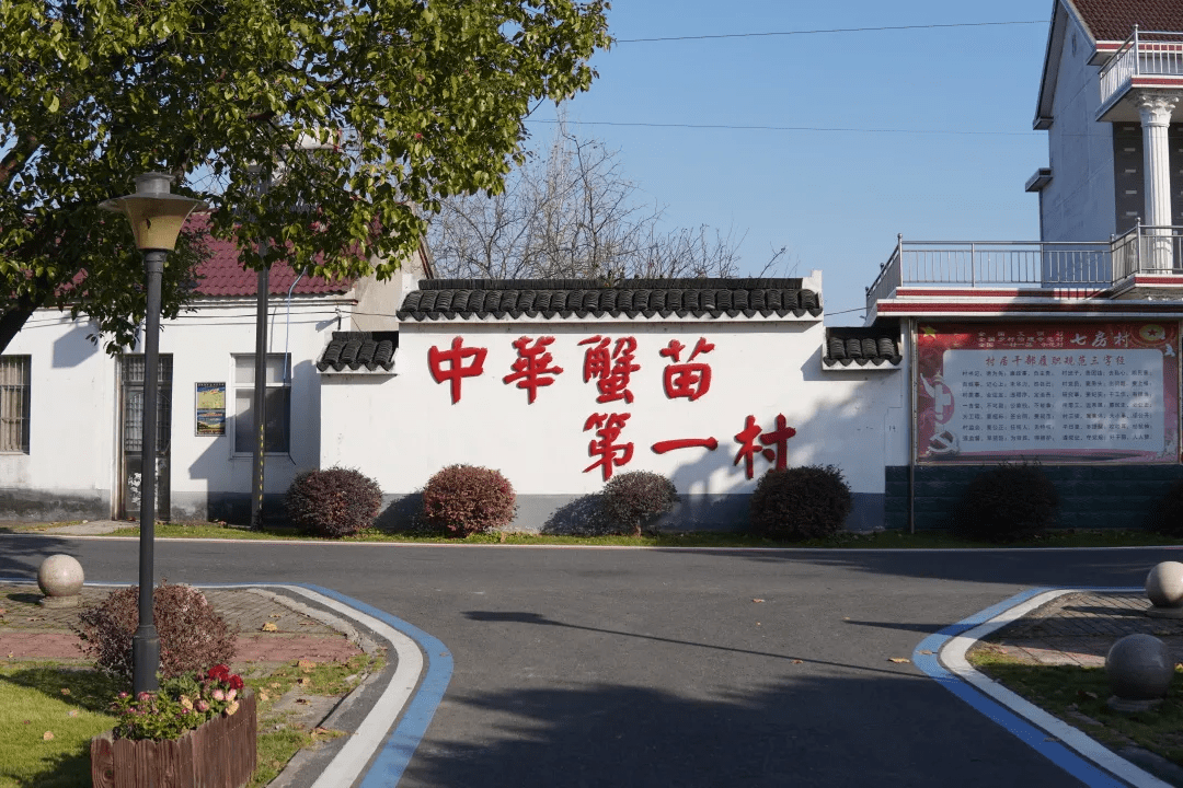 走进当涂县乌溪镇七房村"中华蟹苗第一村"七个大字异常醒目一块块蟹苗