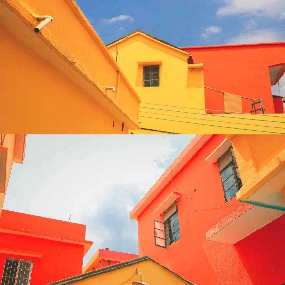 五洞牛肉|打卡 紫花风铃主题生态,圭峰山,彩虹村>￥399江门纯玩二天