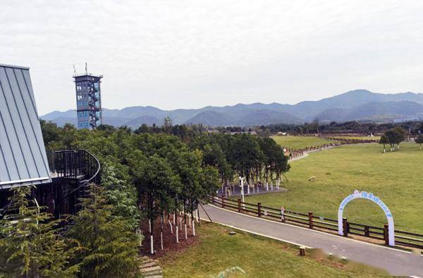 江西萍乡市：找准核心坐标　打造“最美转型城市”