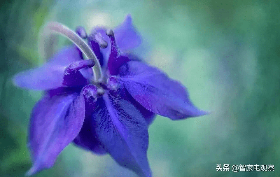 格力电器上海上班好不好