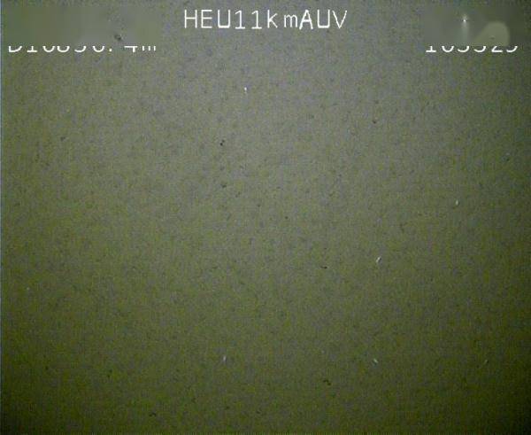 “悟空 ”勇探 “龙宫 ”，揭开万米海底神秘面纱！