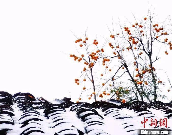 问题|成年人的情商，都在细节里丨夜读