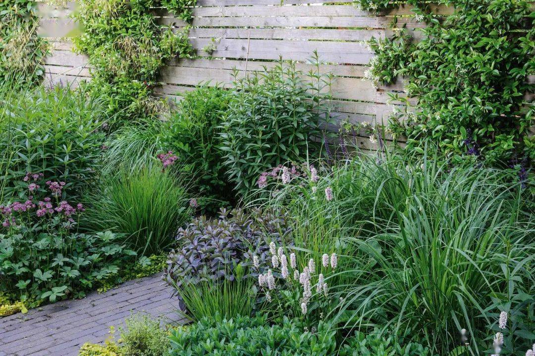 3个环抱自然的英式小花园_植物_stefano_种植