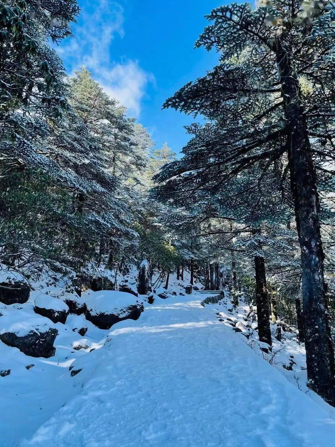 来看2021年初冬第一场雪景