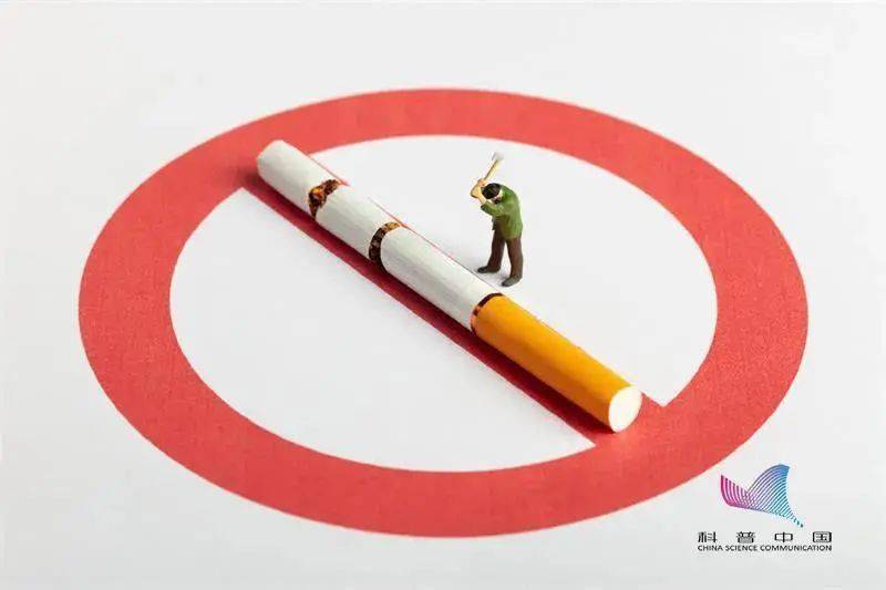 胸痛|“赖床”5分钟可保护血管？冬天不起床又有新理由了……