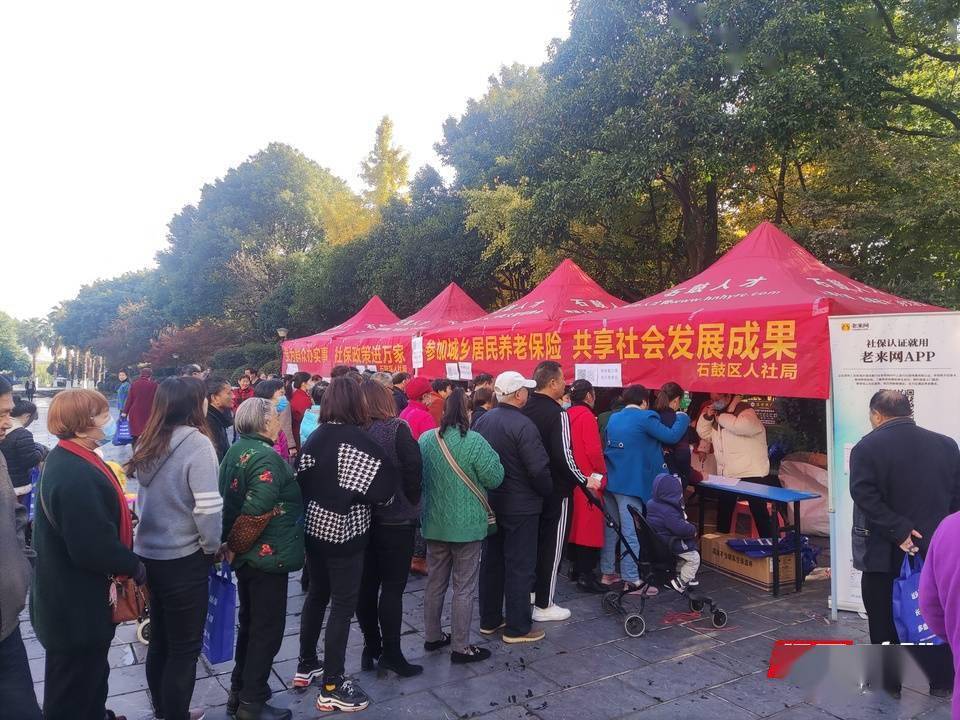 应保尽保!石鼓区开展城乡居民基本养老保险全覆盖宣传活动