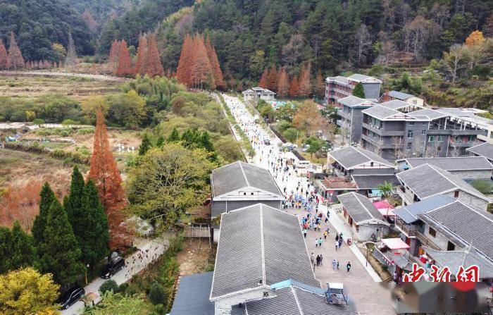 森林|500余名跑者福建龙栖山上演速度与激情较量