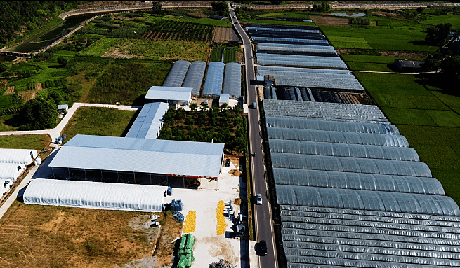 鸟瞰嘉州 | 土主镇