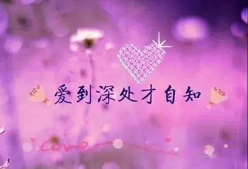 1de51dcc708242c5a20c0fc895e7b606.jpeg