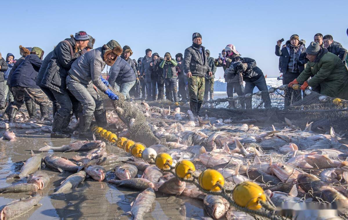 查干湖冬捕,一網能捕40萬斤魚,湖裡真有那麼多嗎?捕魚人說有