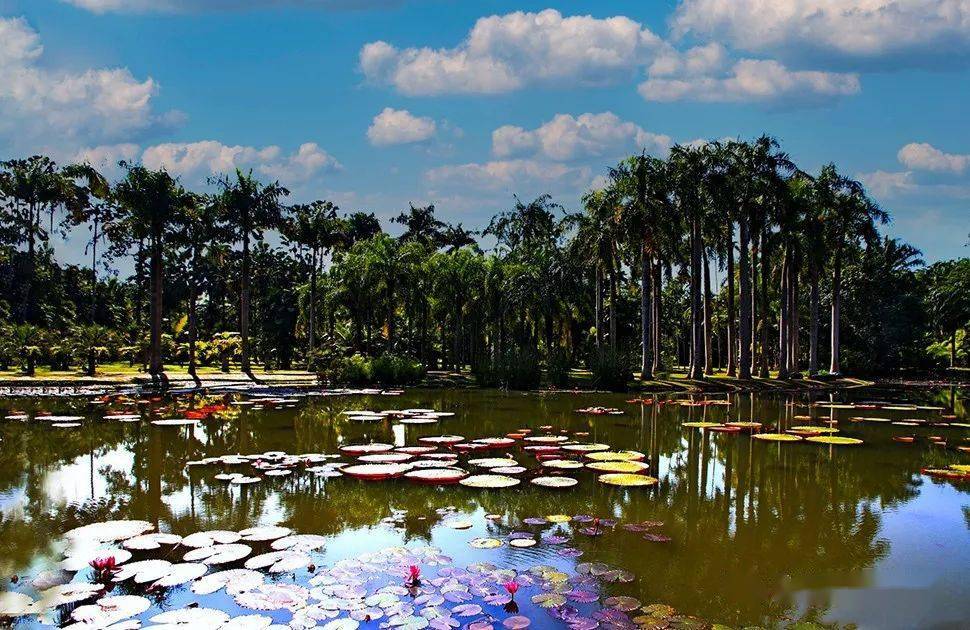 【全国招募】探秘西双版纳热带风情摄影团