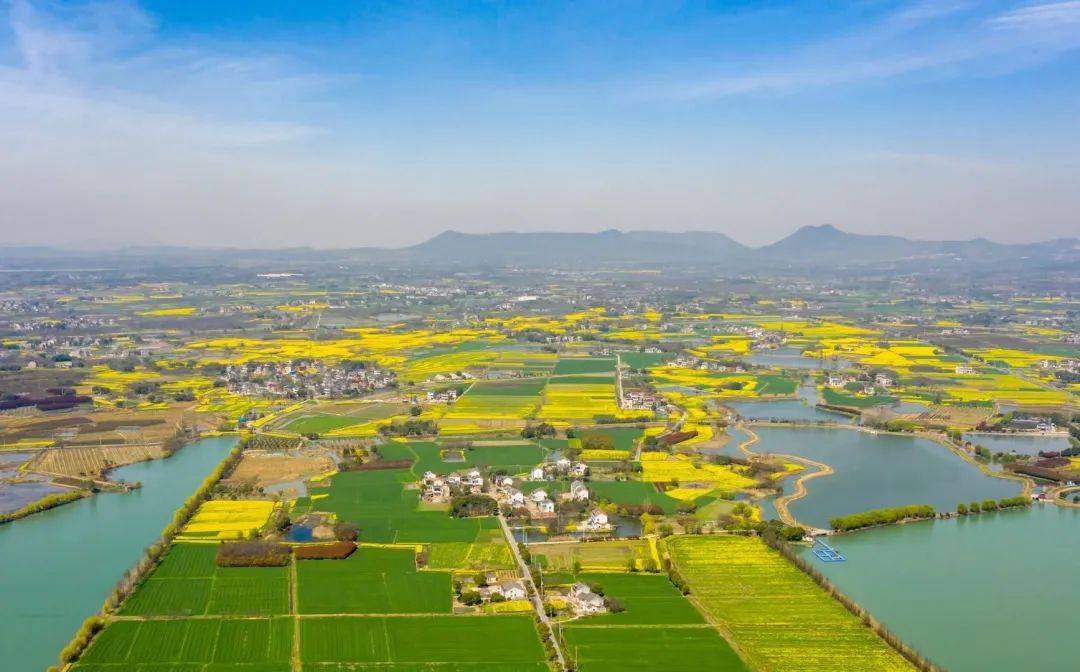 别桥镇:勇担新使命 扬帆再起航 坚定迈向绿色现代化发展的新征程