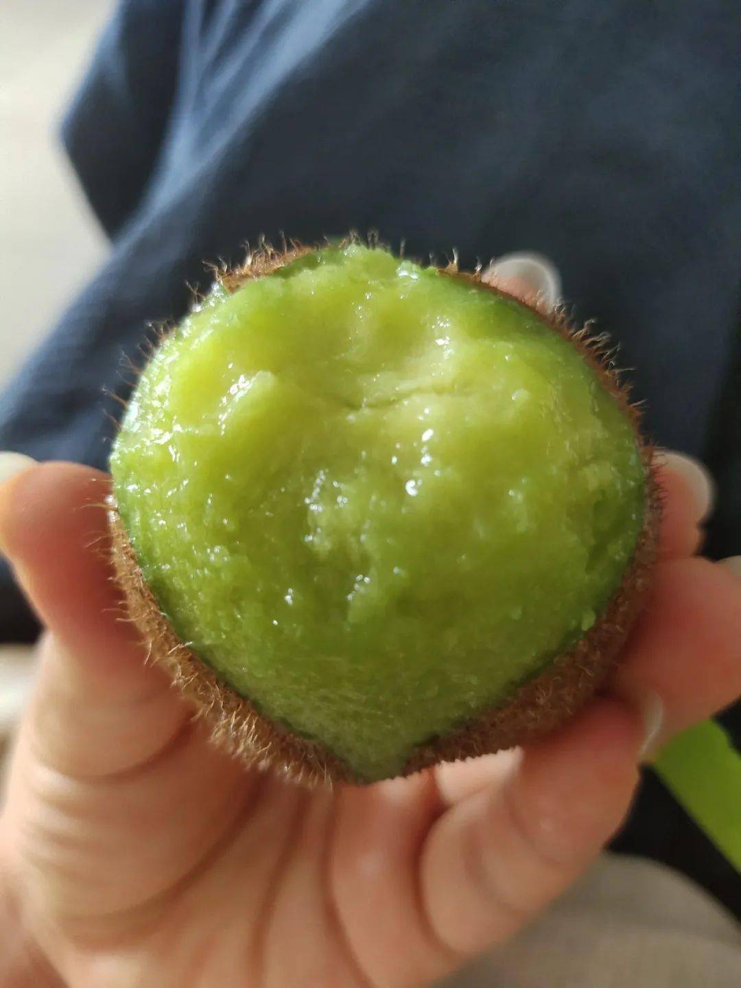 产地食材▎甜到心尖的徐香猕猴桃终于熟了入口即化满满vc绿色食品认证