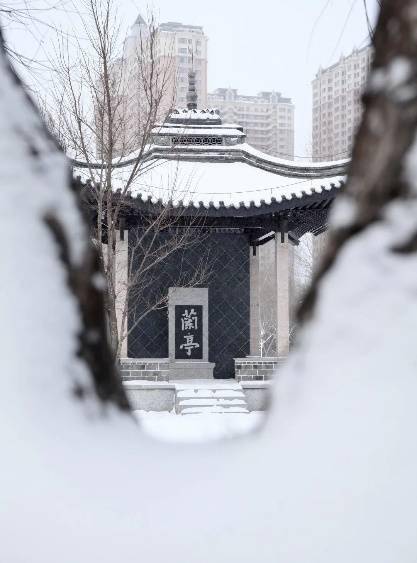 银堆|【雪落象牙塔】东北农业大学：银堆玉砌 雪漫飞花