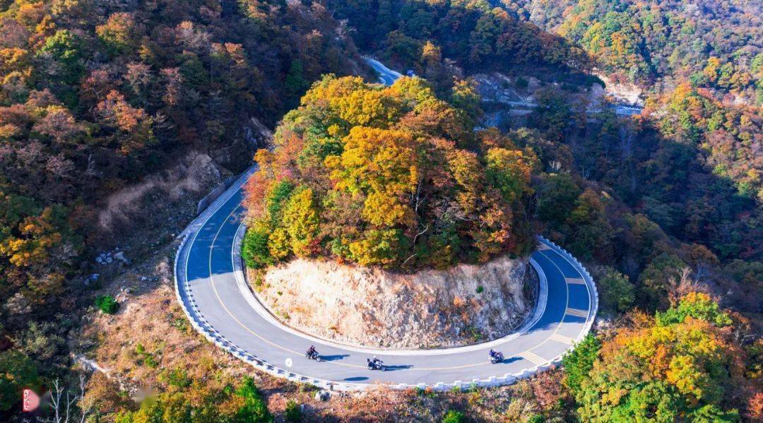 你好,我叫"金寨中国红岭公路"!