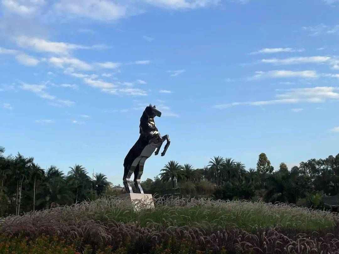 就在南村!广州首家开设在cbd里的马场来了,一杯奶茶钱体验喂马_马术_